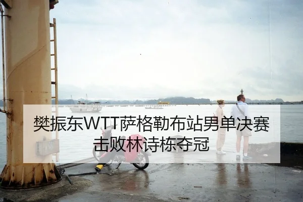 樊振东WTT萨格勒布站男单决赛击败林诗栋夺冠