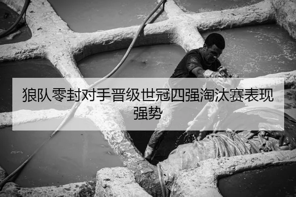 狼队零封对手晋级世冠四强淘汰赛表现强势