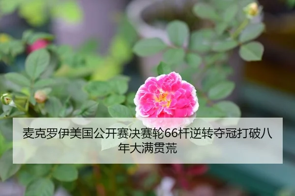 麦克罗伊美国公开赛决赛轮66杆逆转夺冠打破八年大满贯荒