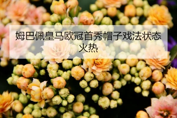 mu-ba-pei-huang-ma-ou-guan-shou-xiu-mao-zi-xi-fa-zhuang-tai-huo-re-2-951.jpg