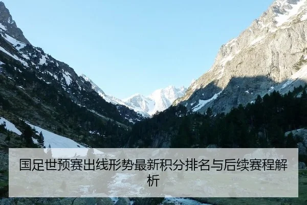 国足世预赛出线形势最新积分排名与后续赛程解析