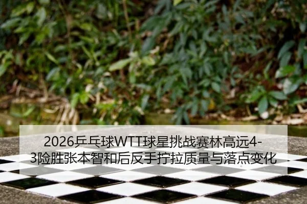 ping-pang-qiu-qiu-xing-tiao-zhan-sai-lin-gao-yuan-xian-sheng-zhang-ben-zhi-he-hou-fan-shou-ning-la-zhi-liang-yu-luo-2-373.jpg