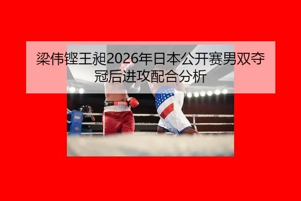 liang-wei-keng-wang-chang-nian-ri-ben-gong-kai-sai-nan-shuang-duo-guan-hou-jin-gong-pei-he-fen-xi-3-639.jpg