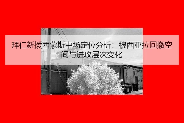 bai-ren-xin-yuan-xi-meng-si-zhong-chang-ding-wei-fen-xi-mu-xi-ya-la-hui-che-kong-jian-yu-jin-gong-ceng-ci-bian-hua-2-251.jpg
